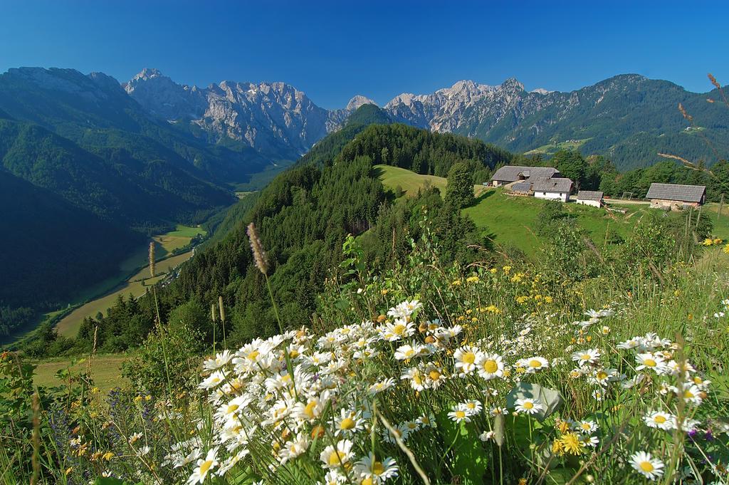 Prenocisca Valentina Apartamento Solčava Exterior foto